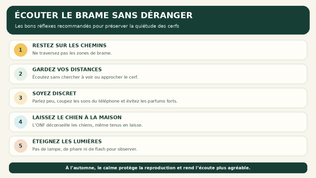 Fiche informative présentant quatre indices du rut du cerf : brame, frottis, grattage et souille.