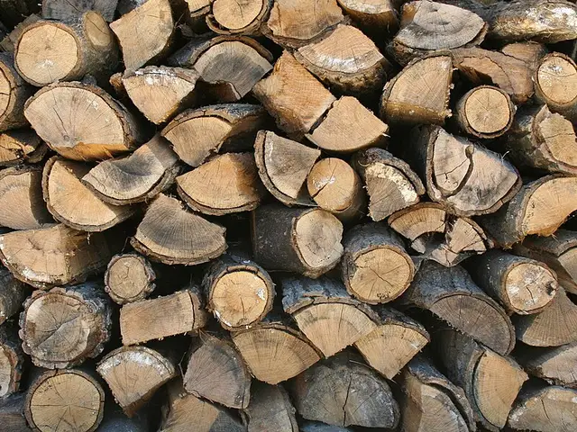 Pile de bûches de bois de chauffage