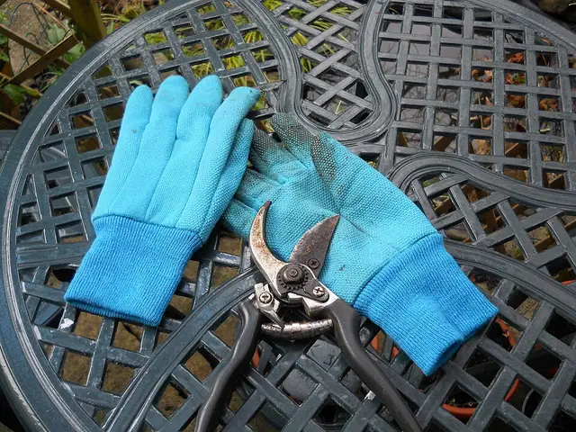 Sécateur et gants de jardinage à nettoyer après usage
